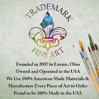 Trademark Fine Art Ata Alishahi Emotional Journey 1 Canvas Wall Art