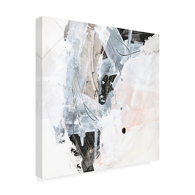 Trademark Fine Art June Erica Vess Veiled Formation Iv Canvas Wall Art