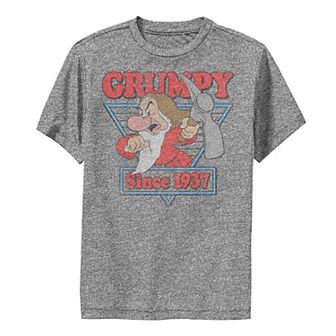Boys 8-20 Disney Snow White Grumpy Since 1937 Triangle Performance Graphic Tee