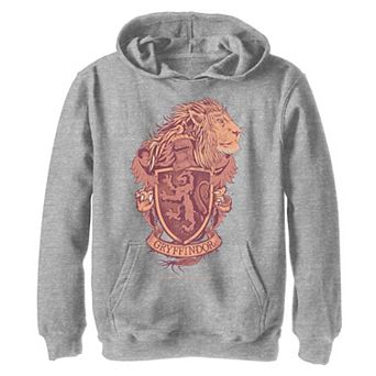 Boys 8-20 Harry Potter Gryffindor Detailed Crest Hoodie