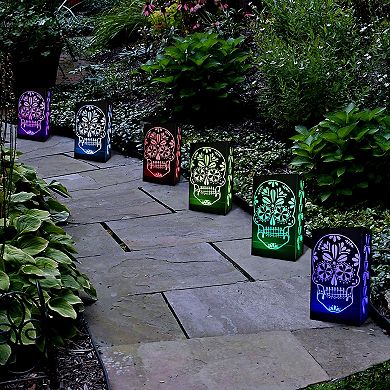 Color Changing Sugar Skull LED Luminaria Bag & Light 6-piece Set