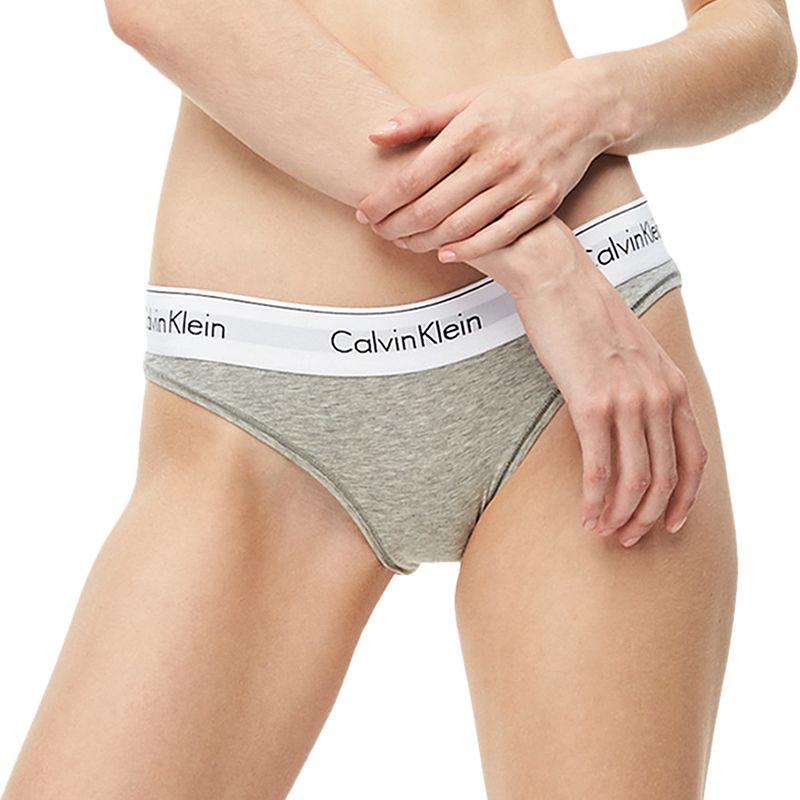 Calvin Klein Modern Cotton Bikini Panty F3787, Womens, Size: XS, Grey