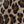 Vintage Leopard