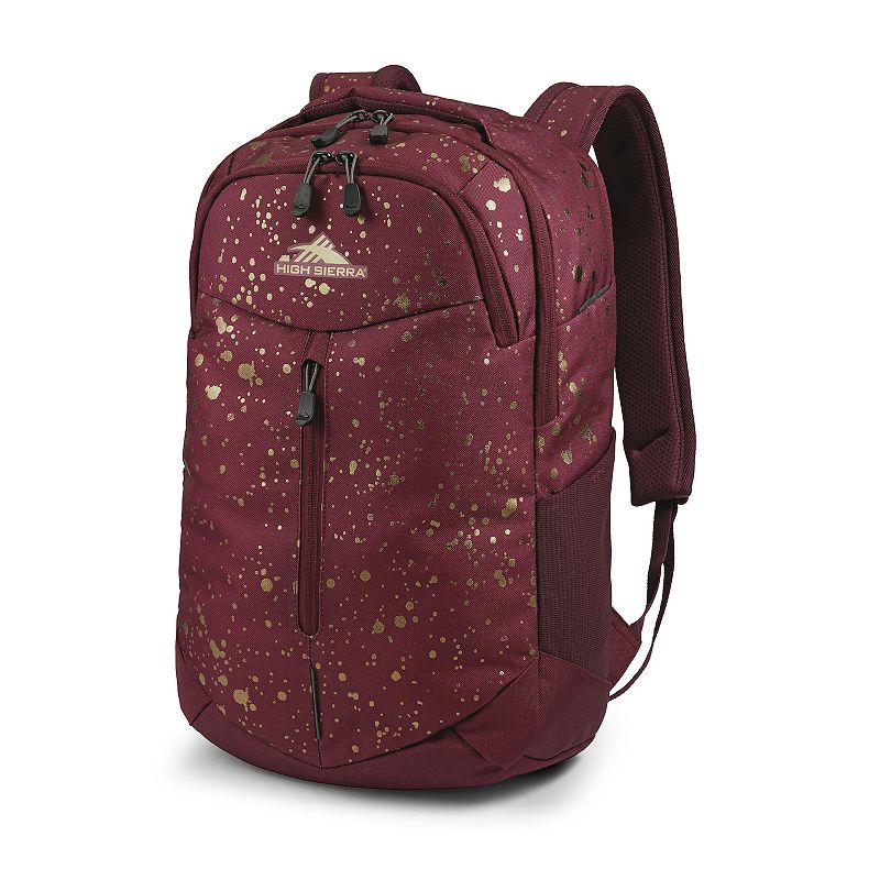 High Sierra Swerve Pro Backpack, Multicolor