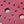 Fuchsia Burnished