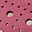 Fuchsia Burnished