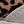 White Black Leopard