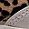 White Black Leopard