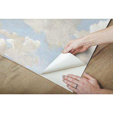 RoomMates Clouds on Canvas Peel & Stick Wallpaper