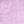 Lilac Thistle