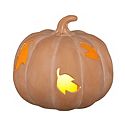 Fall Decor