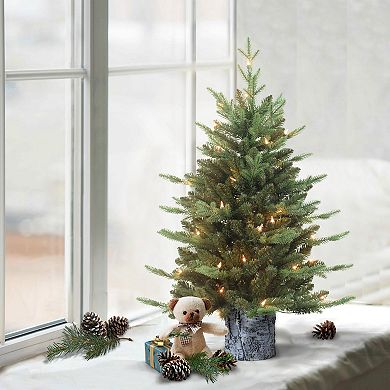 PULEO INTERNATIONAL Pre-Lit 3' Potted Artificial Christmas Tree with 50 Lights