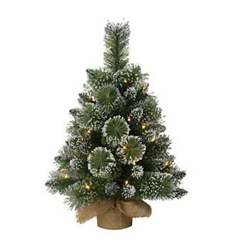 PULEO INTERNATIONAL Pre-Lit 2' Table Top Flocked Artificial Christmas Tree with 35 Lights in Burlap Base