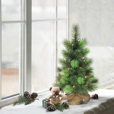 PULEO INTERNATIONAL Pre-Lit 2' Table Top Artificial Christmas Tree with 35 Lights in Burlap Base