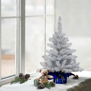 PULEO INTERNATIONAL Pre-Lit 2' Table Top Artificial Christmas Tree with 35 Lights in Blue Sac