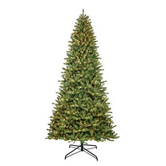 PULEO INTERNATIONAL Pre-Lit 10' Berkshire Fir Artificial Christmas Tree with 1000 Lights