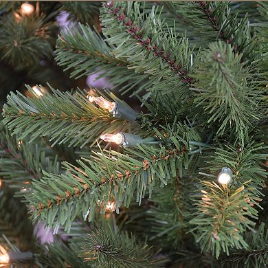 PULEO INTERNATIONAL Pre-Lit 10' Berkshire Fir Artificial Christmas Tree with 1000 Lights