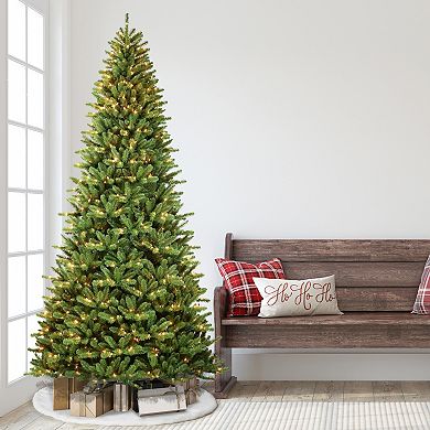 PULEO INTERNATIONAL Pre-Lit 12' Berkshire Fir Artificial Christmas Tree with 1200 Lights