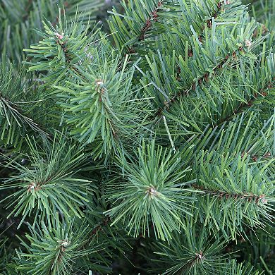 PULEO INTERNATIONAL 6.5' Northern Fir Artificial Christmas Tree with Stand