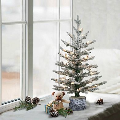 PULEO INTERNATIONAL Pre-Lit Artificial Table Top Princess Pine Tree