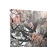 Prinz "Cherry Blossom Tree" Canvas Wall Art