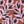 Brown Floral
