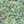 Green Ditzy