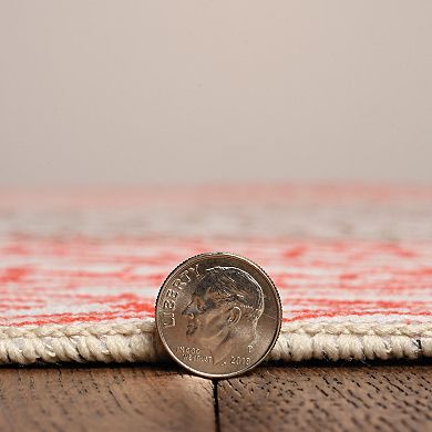 Linon Haylee Machine Washable Rug.