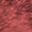Coral Spice