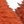 Burnt Orange