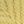 Jojoba Yellow