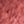 Coral Spice