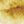 Sunshine Yellow