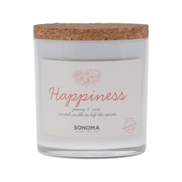 Sonoma Goods For Life® Spa Happiness 3Wick Candle Jar