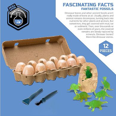 Discovery Mindblown 12-Piece Toy Dinosaur Excavation Eggs STEM Learning Set