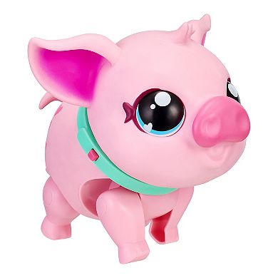 Little Live Pets My Pet Pig Toy