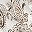 Ivory Mod Paisley