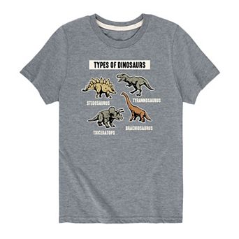 Boys 8-20 Types of Dinosaurs Tee