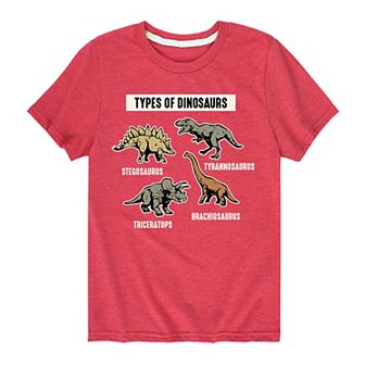 Boys 8-20 Types of Dinosaurs Tee