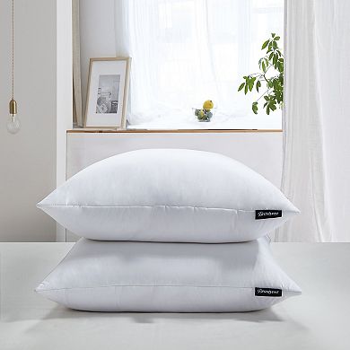 Beautyrest Feather & Down 2-Pack Euro Pillows