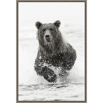 Amanti Art Brown Bear Framed Canvas Print