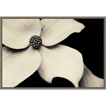 Amanti Art Dogwood Flower Framed Canvas Print
