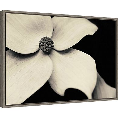 Amanti Art Dogwood Flower Framed Canvas Print