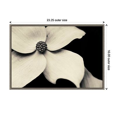 Amanti Art Dogwood Flower Framed Canvas Print