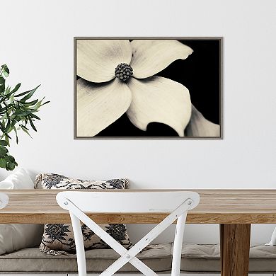 Amanti Art Dogwood Flower Framed Canvas Print