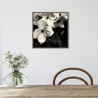 Amanti Art Dogwood Flower No. 3 Framed Canvas Print