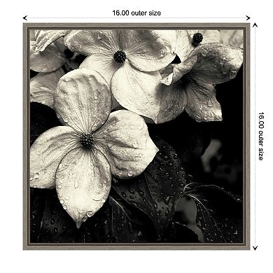 Amanti Art Dogwood Flower No. 3 Framed Canvas Print