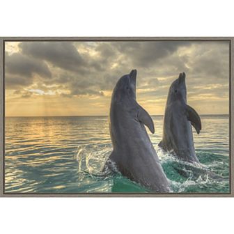 Amanti Art Dolphin Dance Framed Canvas Print
