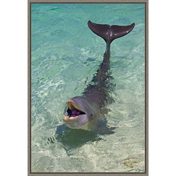 Amanti Art Dolphin Framed Canvas Print