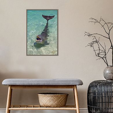 Amanti Art Dolphin Framed Canvas Print